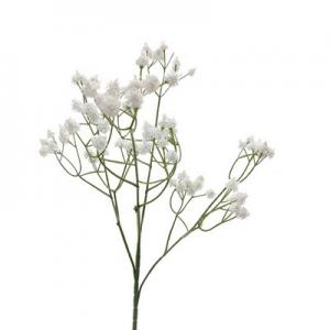 LY122313  gypso soft flower