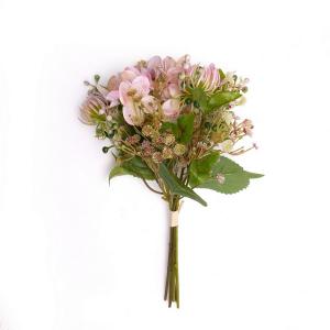 hydrangea mixed bush new