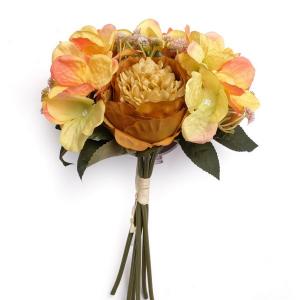 peony hydrangea bush autumn