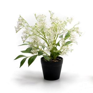 plastic flower potted