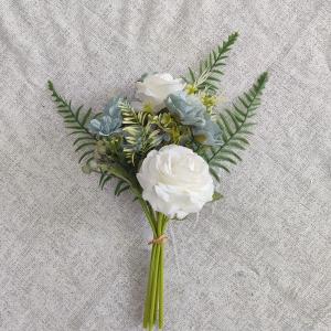 rose wild flower bush