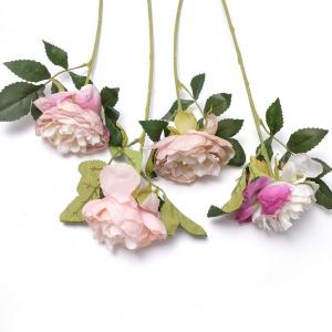 short stem peony burnt