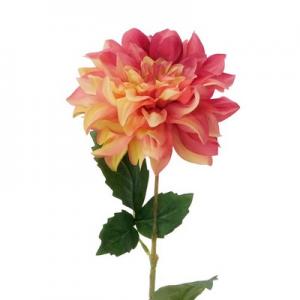single dahlia stem LY122319