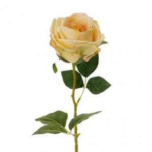 LY122309  single head angel rose stem