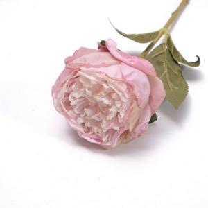 single peony stem burnt