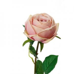 LY122324  single rose stem 9817