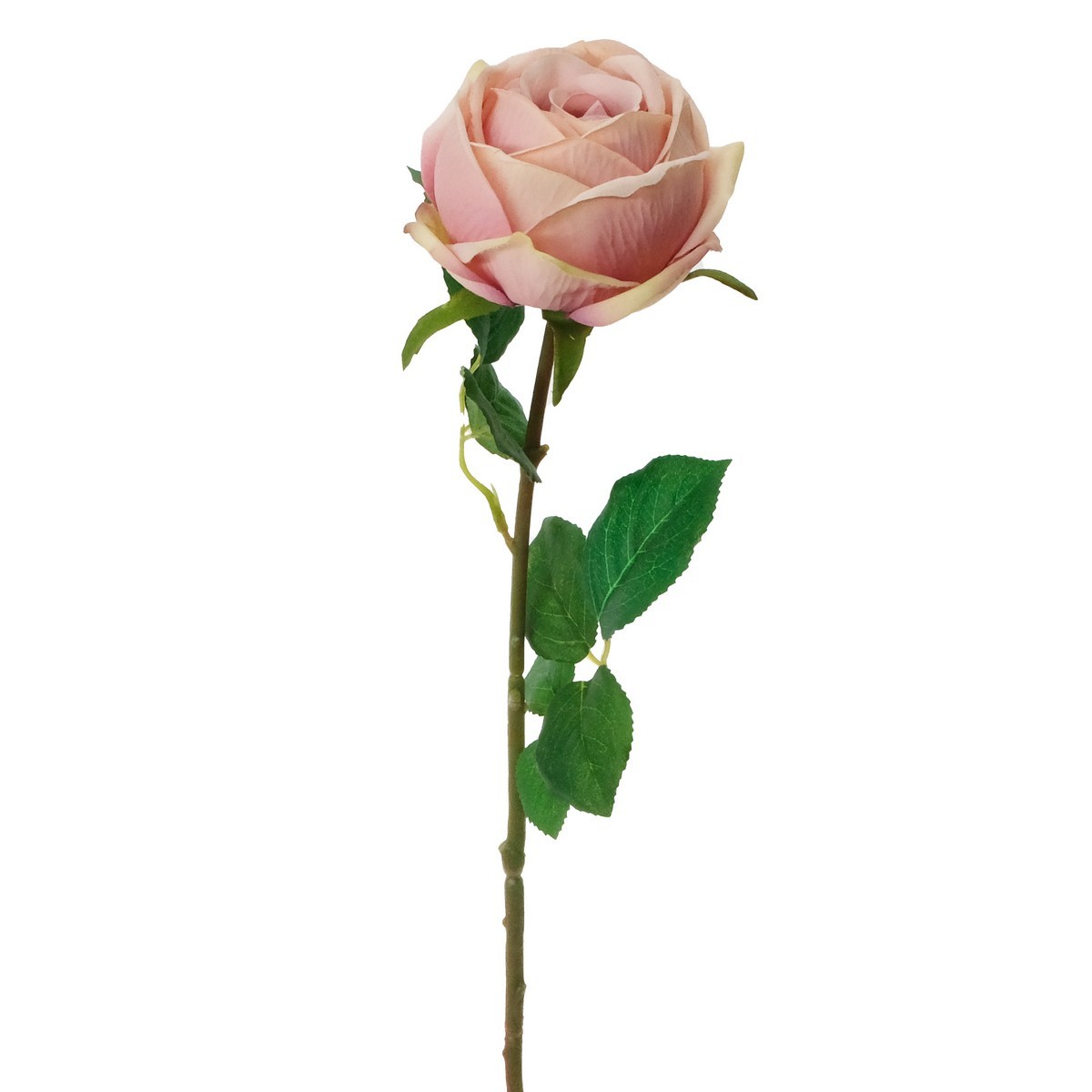 LY122324  single rose stem 9817