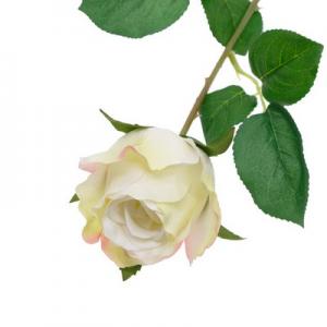 single rose stem LY122322