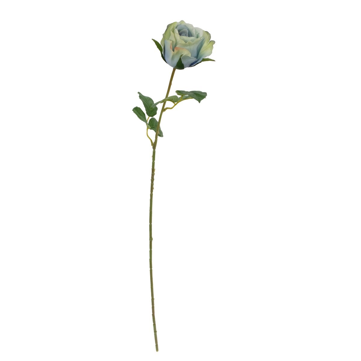 single rose stem LY122322