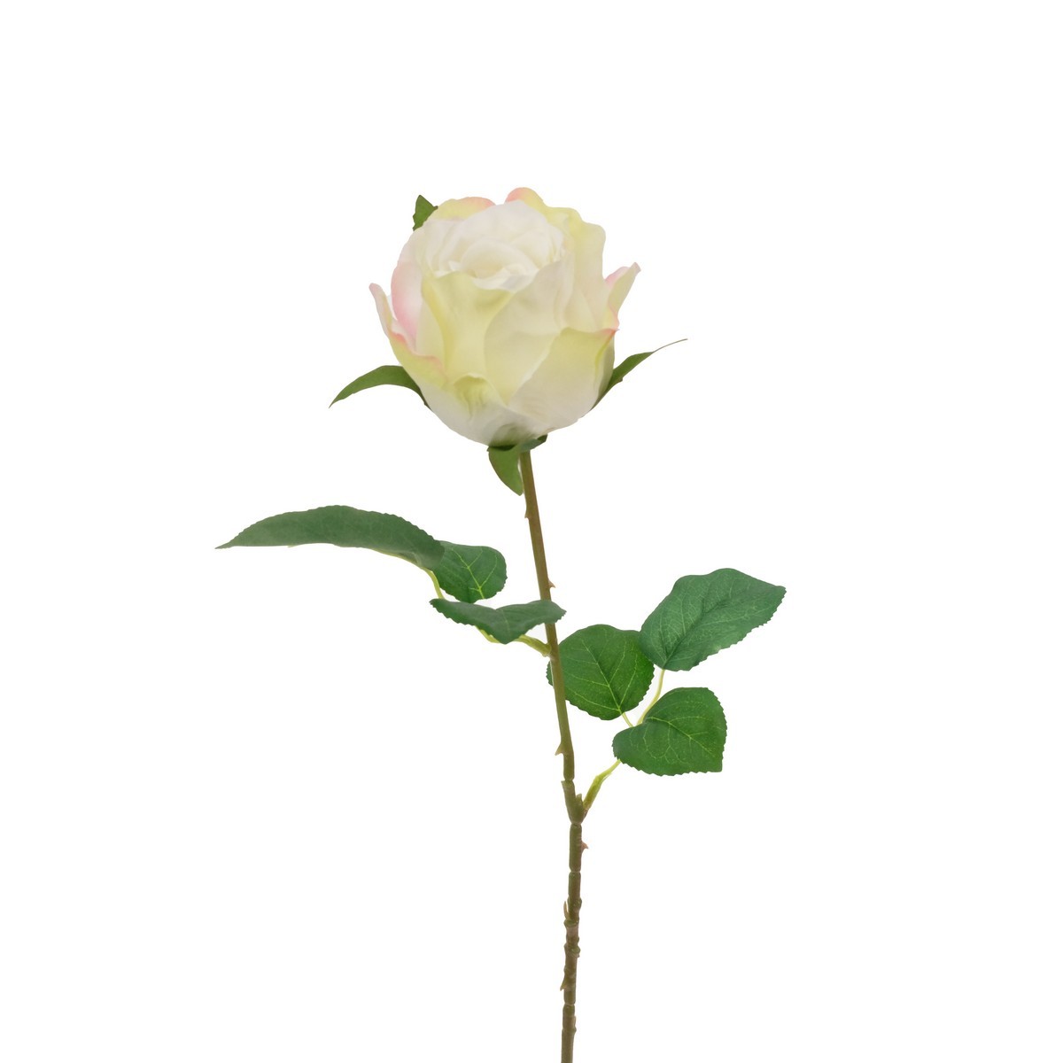 single rose stem LY122322