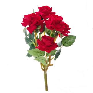 small diamond rose bush