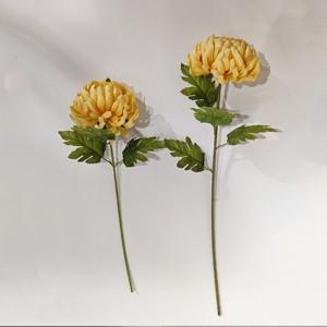 stem mum Medium  LY18108