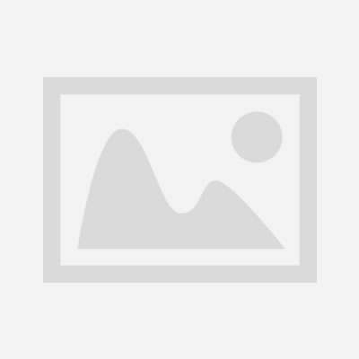  Brief moment for desert orchids